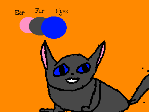 Cat Speed Draw