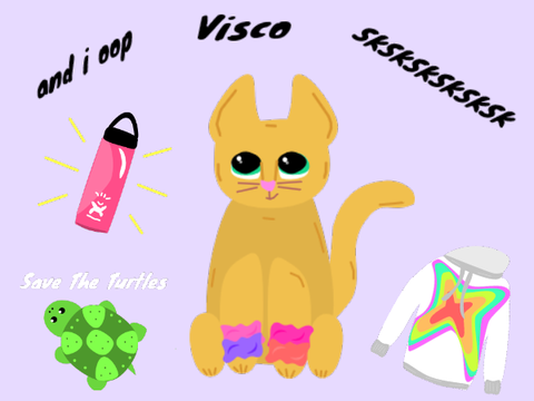 Visco Kitten