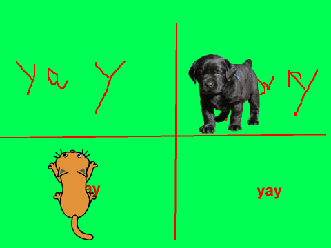 awesome game cat @ mouse