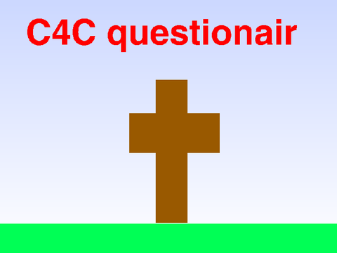 C4C Questions ( manager application) remix