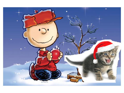 Holiday Card