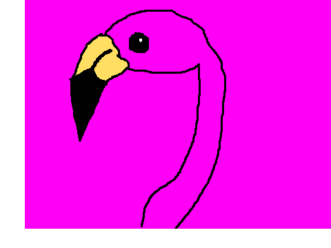 Flamingo Drawing