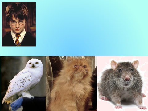 Which HP Pet Is Yours?