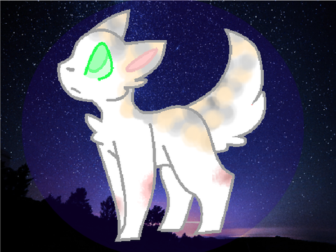 ~Willow~