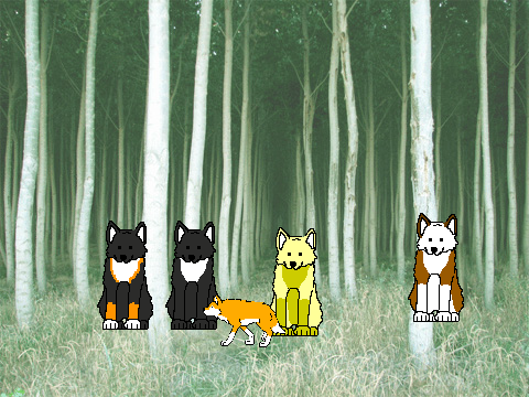 Wolf Game!!! CHECK IT OUT!