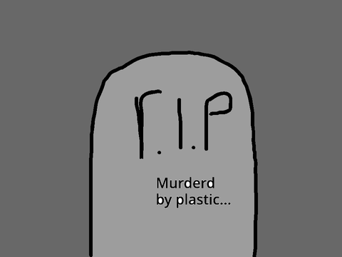 R.I.P turtle...