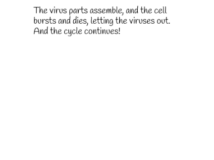 How viruses reproduce