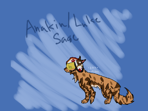 Star Wars AU Sageleaf's New Life