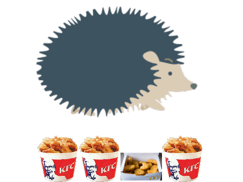 Pet Hedgehog Obesity Stimulator