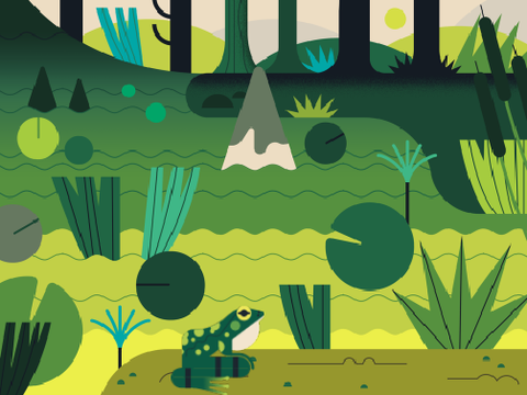Beetle Catcher