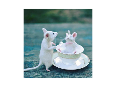 104 Cute And funny animals