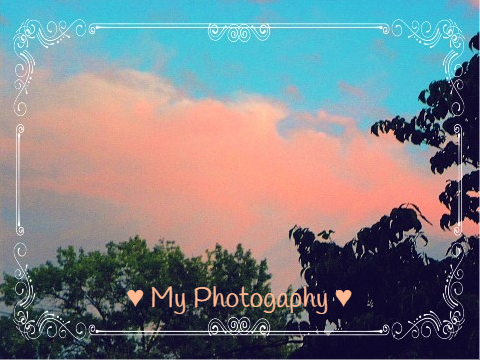 ♥ My Photography ♥