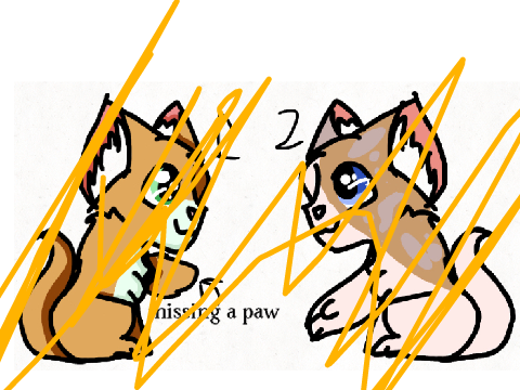 A meme