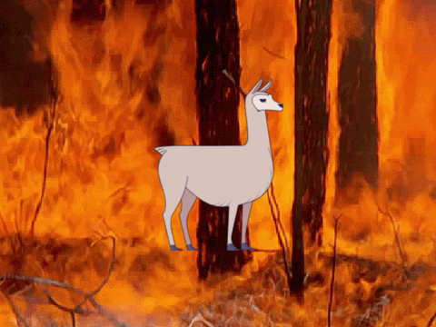 bushfires