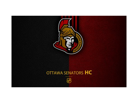 some nhl teams that i hate