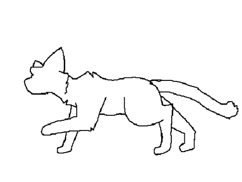 Cat Run Cycle