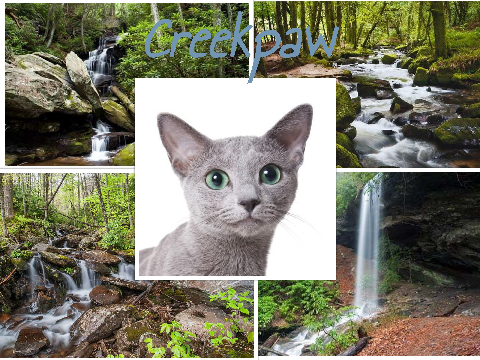 Creekpaw