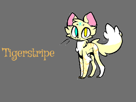 My entry