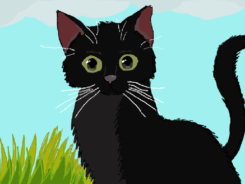Black Cat Art