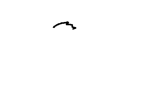 How I draw sitting cats (UPDATED)