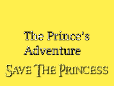 The Prince's Adventure