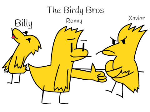 The Birdy Bros