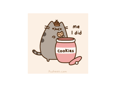 pusheen's daily life