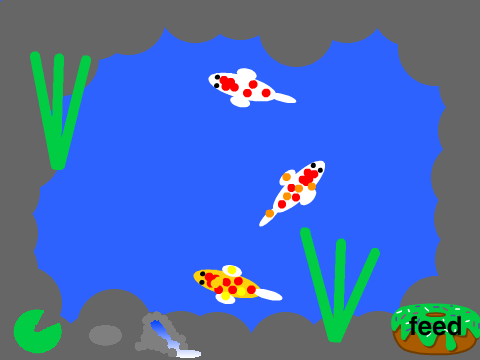 koi pond