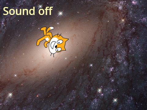 Cat spins in the Space