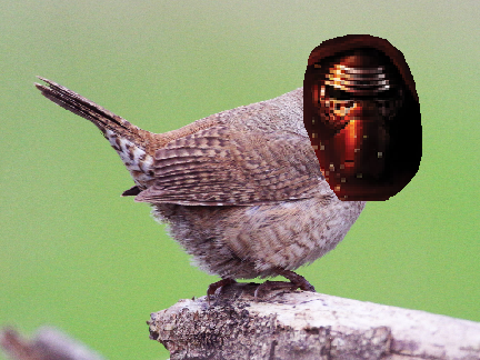 Kylo Wren