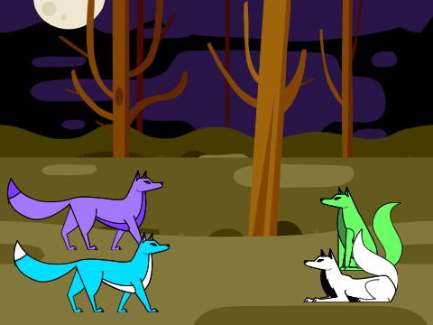 Fox Quest