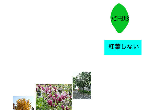分類-コスチューム名