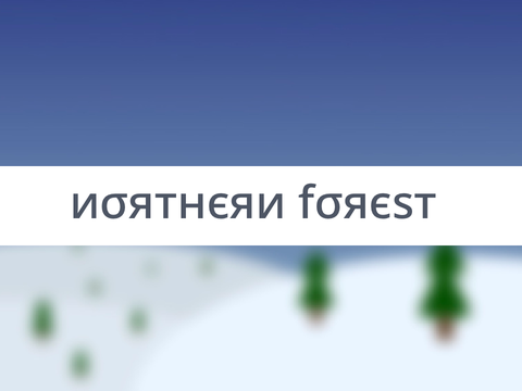 -northern forest-