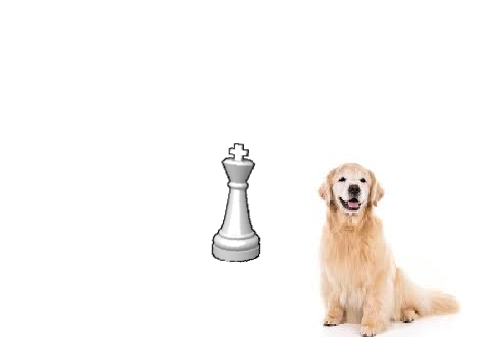 How to play Chess Wip a bit broken