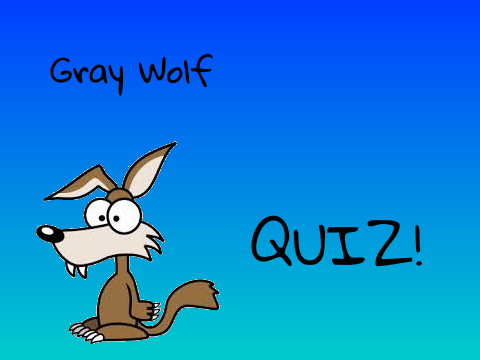 Gray Wolf QUIZ