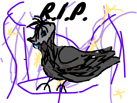 R.I.P Waterfall