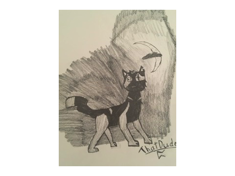 Random drawing