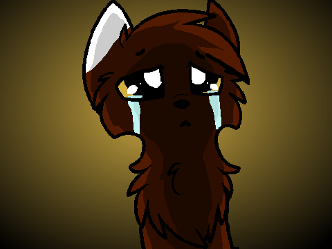 ~Am i not Good Enough? CCE ~