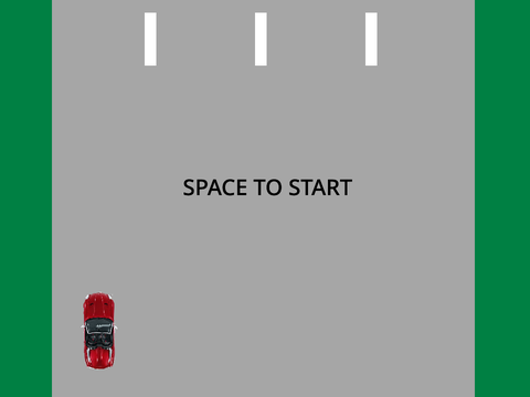 RoadRacer