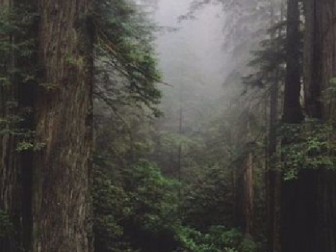 ♛