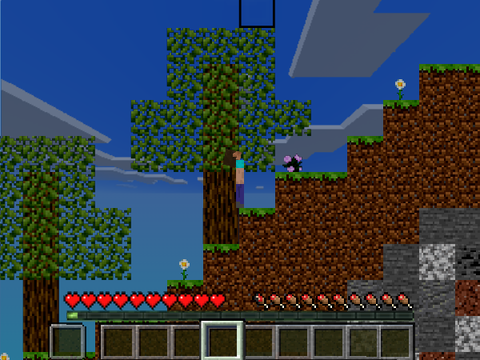 2D MC v0.45.3 (Collab)