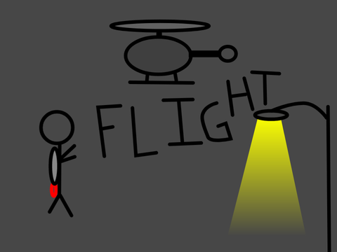 FLIGHT