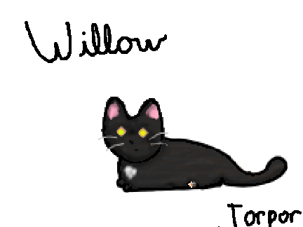 A drawing of my cat, Willow!