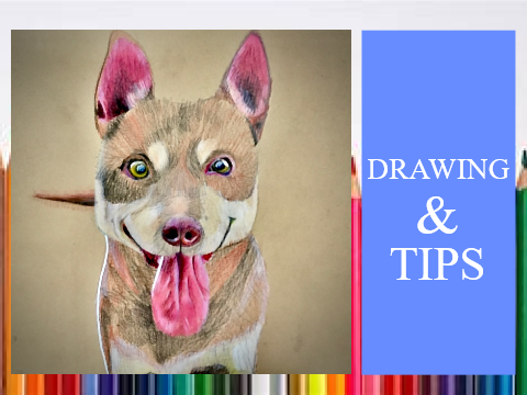 DRAWING & TIPS