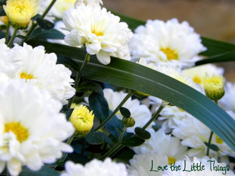 Enjoy the Little Things ♥