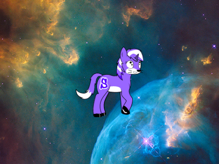 the new scratch animals 