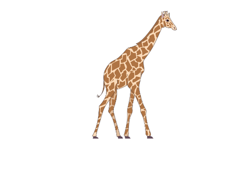 動物クイズ 