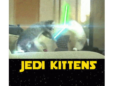 feel the force+cuteness with in you