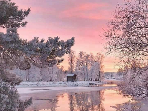 ❅