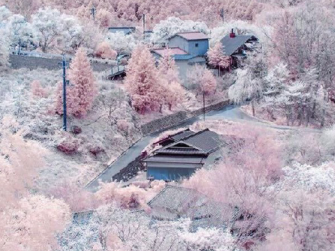   ❅